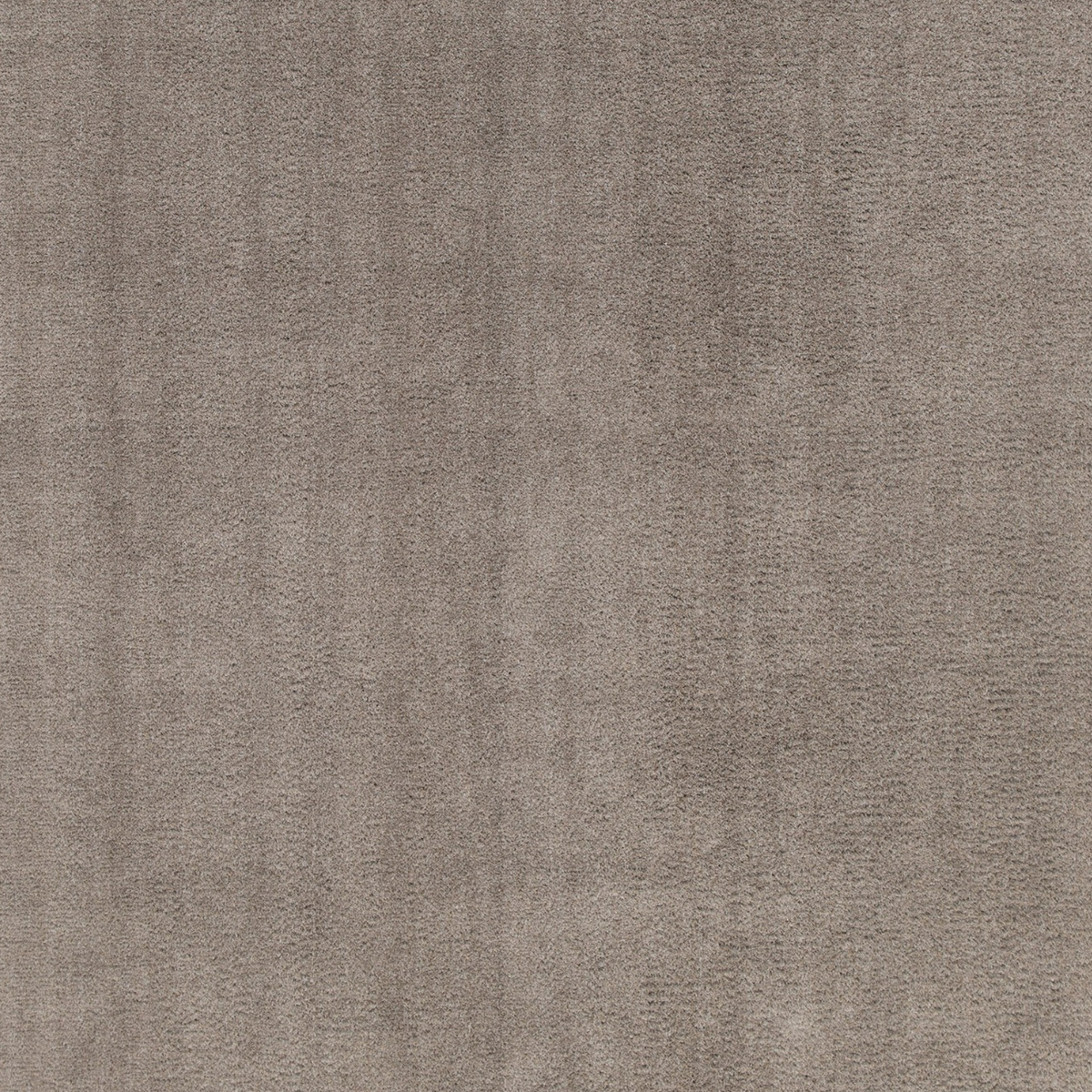Vloerkleed Xilento Wassy Taupe Grijs