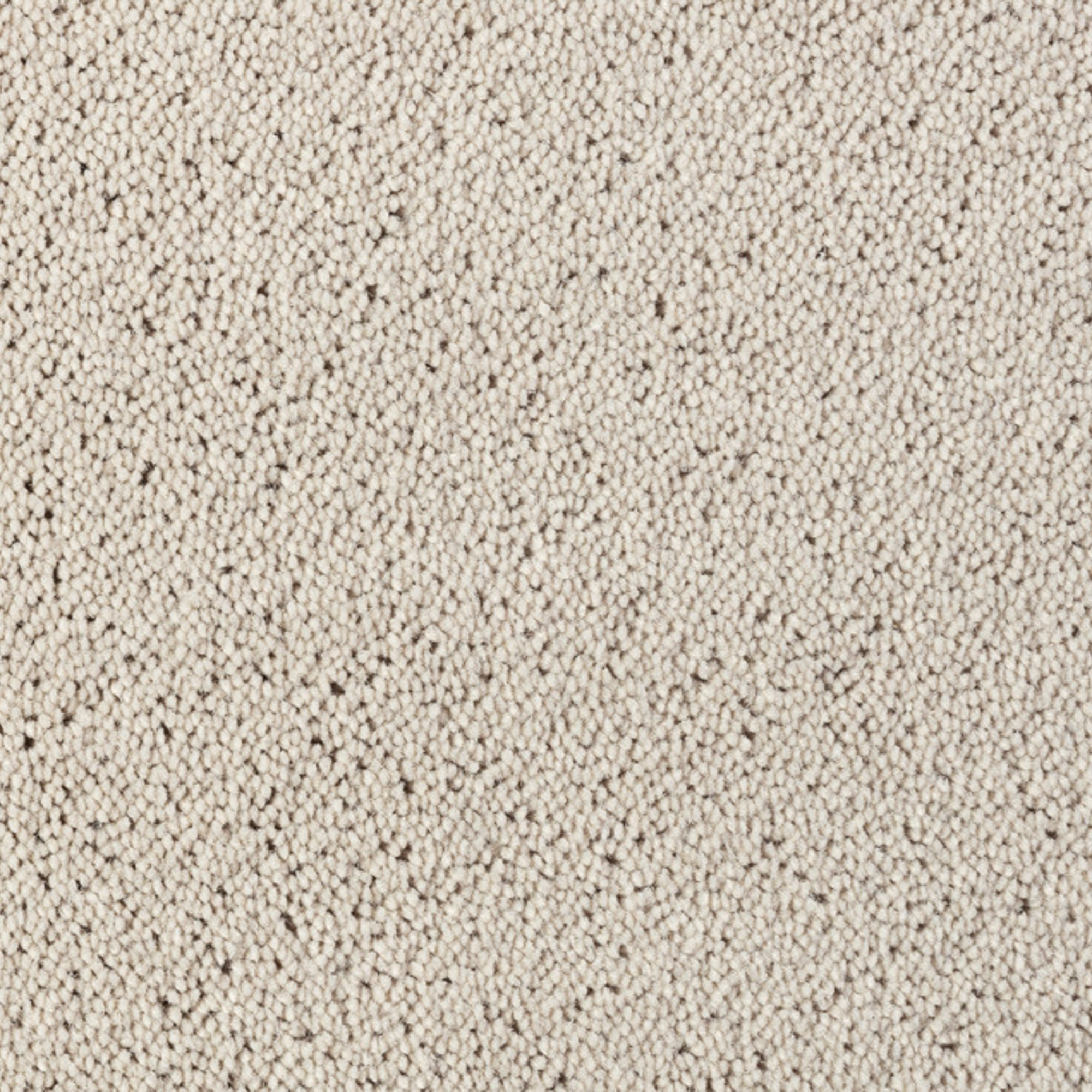 Vloerkleed Desso Asteranne 1318