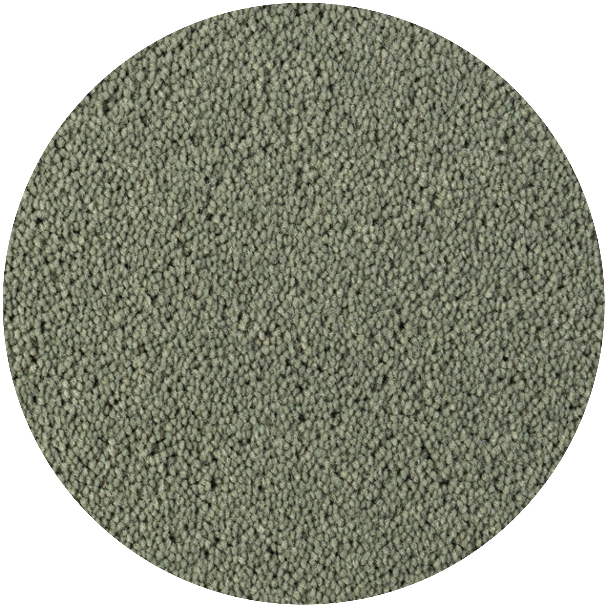 Rond Vloerkleed Desso Asteranne 2903