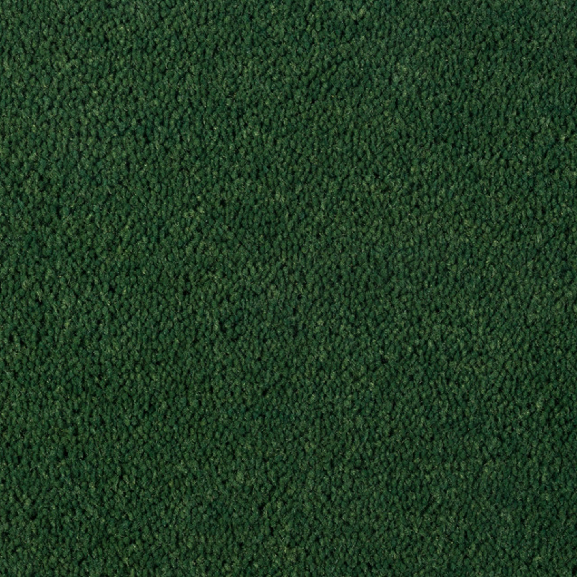 Vloerkleed Desso Asteranne 7923