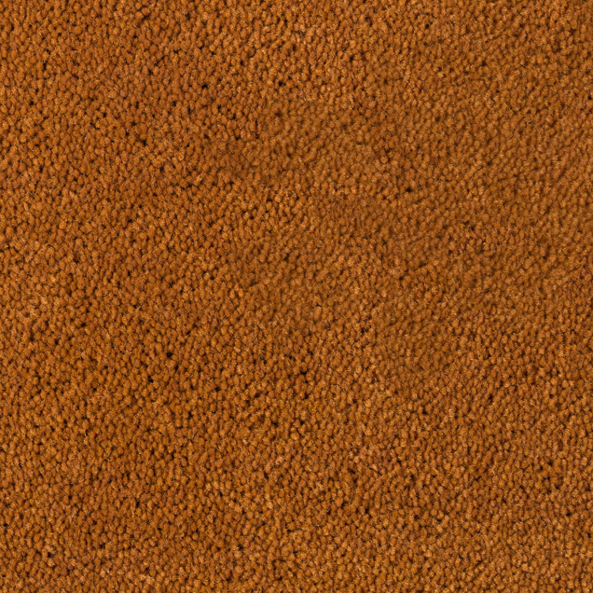 Vloerkleed Desso Asteranne 2068