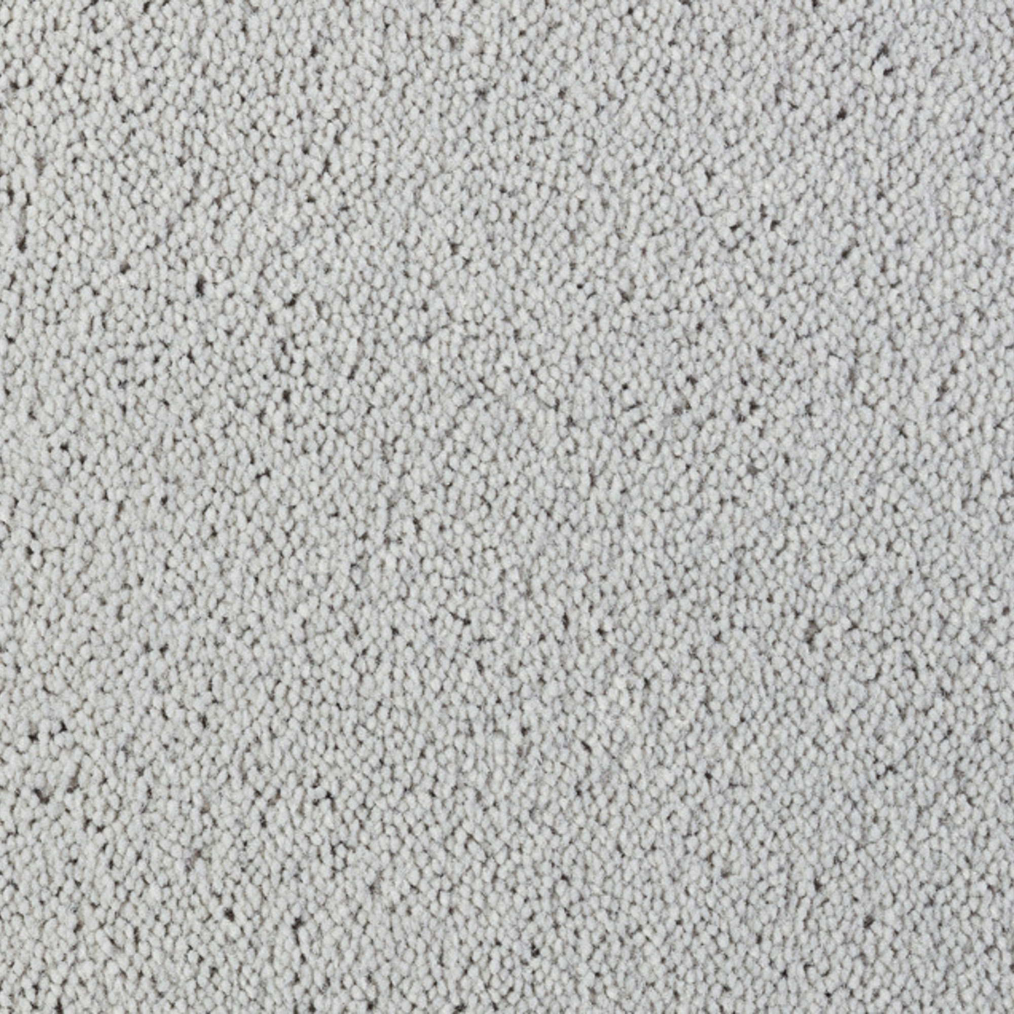 Vloerkleed Desso Asteranne 1102