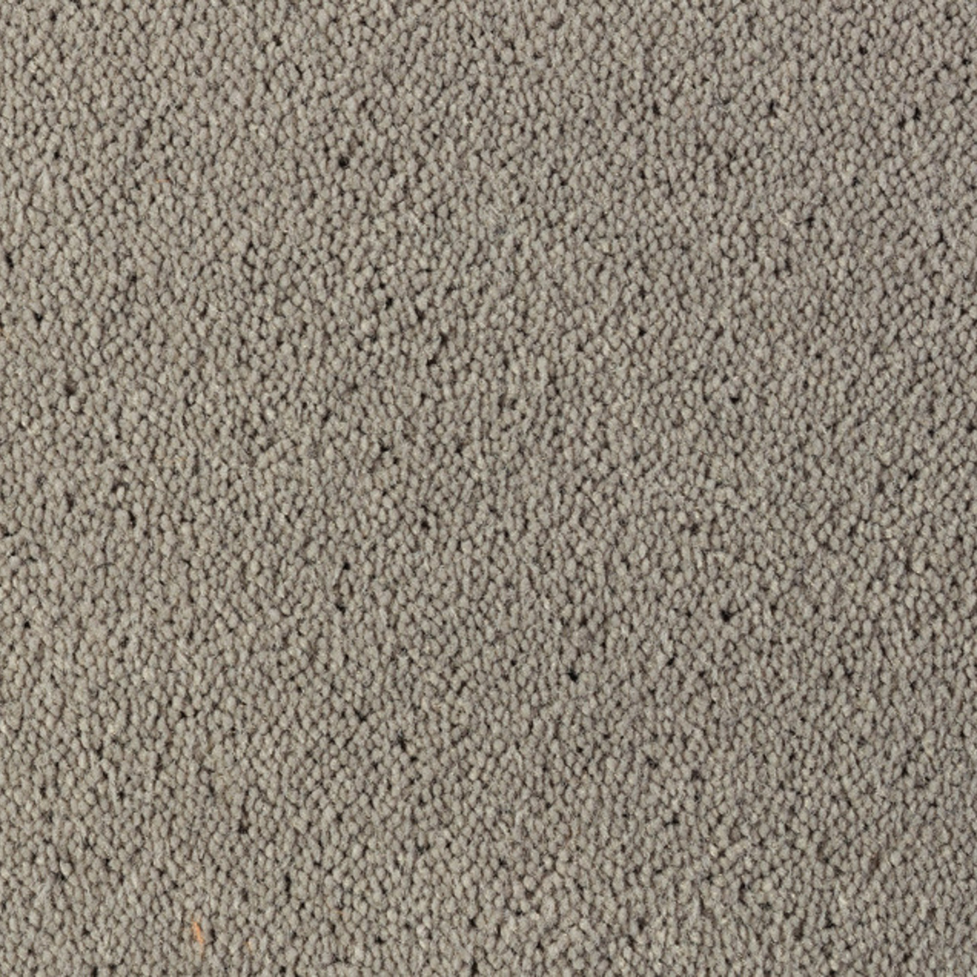 Vloerkleed Desso Asteranne 9104